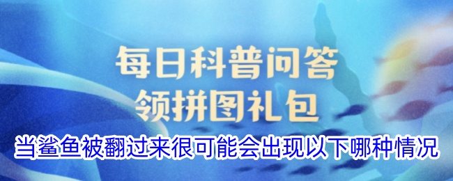 翻转鲨鱼后可能发生的情况