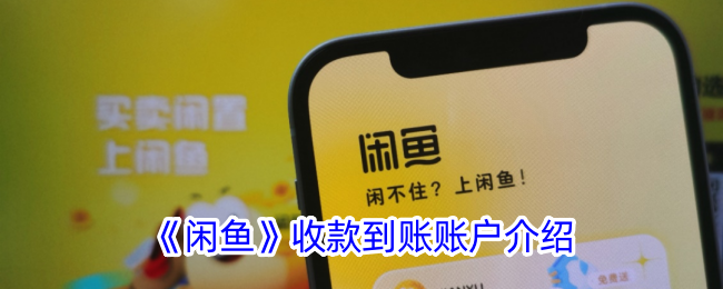 《闲鱼》收款到账账户详解