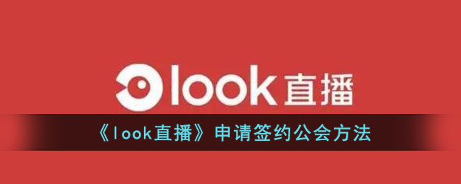 《Look直播》公会签约申请指南