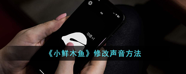 《小鲜木鱼声音修改技巧》