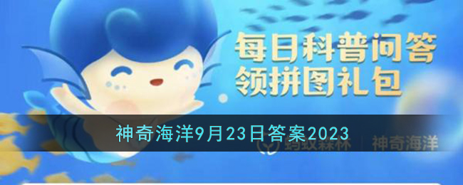 逆戟鲸的别称是什么鲸鱼