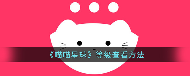 《喵喵星球》如何查看等级