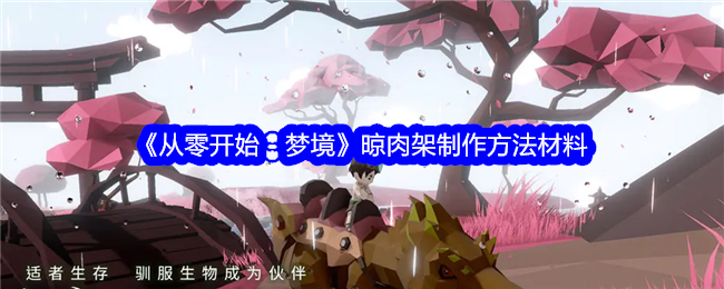 《梦境启示：晾肉架制作详解》
