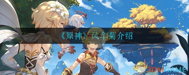 《原神》风车菊详细介绍